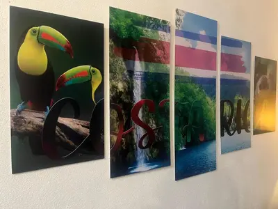 a bunch of paintings hanging on a wall at Casa Bosque GuestHouse & Car Rental - Free SJO Airport Shuttle in Desamparados