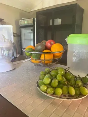a bowl of fruit on a counter with a plate of fruit at Casa Tropical Playa Grande in Cuajiniquil