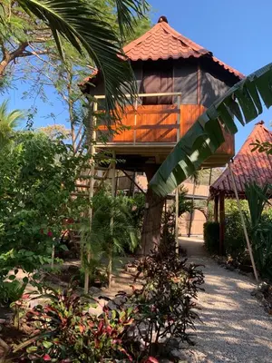 a wooden house with a palm tree in front of it at Casa Tropical Playa Grande in Cuajiniquil