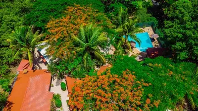 an overhead view of a garden with palm trees and a pool at Casa Tropical Playa Grande in Cuajiniquil