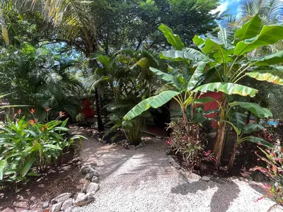 a garden with a bunch of plants and trees at Casa Tropical Playa Grande in Cuajiniquil