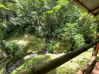 Gallery image of Esquipulas Rainforest in Quepos