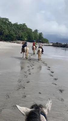 a group of people riding horses on the beach at Mi casita in Montezuma