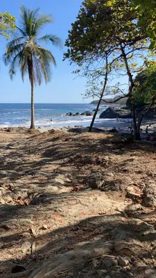 a beach with a palm tree and the ocean at Mi casita in Montezuma