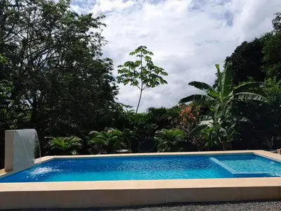 a swimming pool in a garden with trees at Mi casita in Montezuma