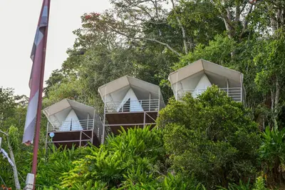 a group of three tents in the trees at Quimera Glamping in Pacuar