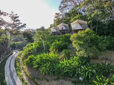 a row of cottages on a hill with a road at Quimera Glamping in Pacuar