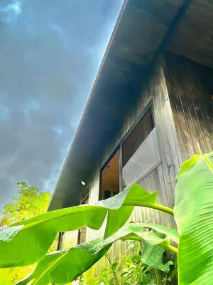 a house with a large green plant in front of it at CASA BÚHO in Santa Teresa Beach