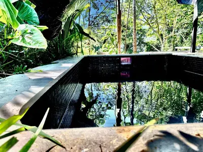 a pool of water in the middle of a forest at CASA BÚHO in Santa Teresa Beach