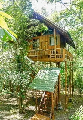a tree house in the middle of a forest at Tree Houses Hotel Costa Rica in Florencia