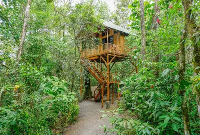 a tree house in the middle of a forest at Tree Houses Hotel Costa Rica in Florencia