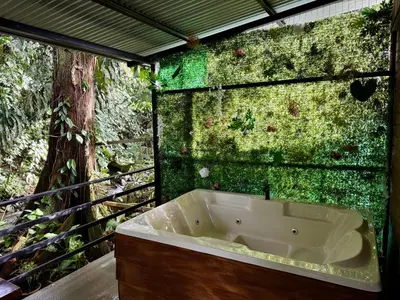 a bath tub with moss on the side of a wall at The frog house in Fortuna