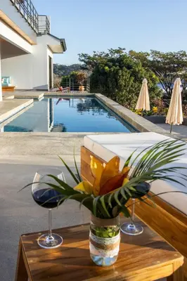 a vase with a plant on a table next to a pool at Casa Ojos Azules, Nosara. New Listing in Nosara
