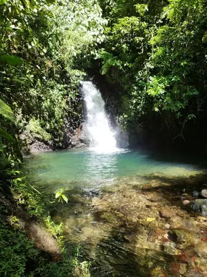 a waterfall in the middle of a river in a forest at Pozas y Cascadas La Presa Habitación 1 in Río Cuarto