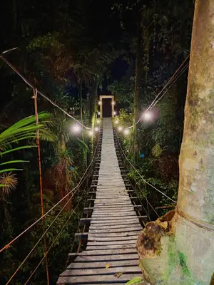 a wooden bridge in the middle of a forest at night at Pozas y Cascadas La Presa Habitación 1 in Río Cuarto