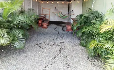 a garden with a hammock and some plants at Tony´s House #2 in Fortuna