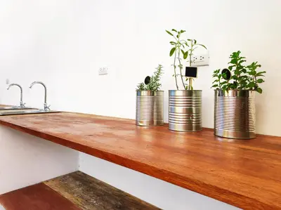 three potted plants sitting on a wooden counter at ICO Living Hostel in Santa Teresa Beach