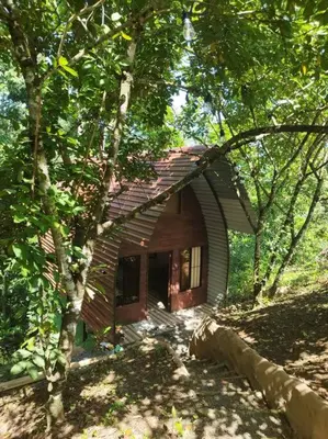 a small house in the middle of a forest at Chalet La Fortuna YeyYe in Fortuna