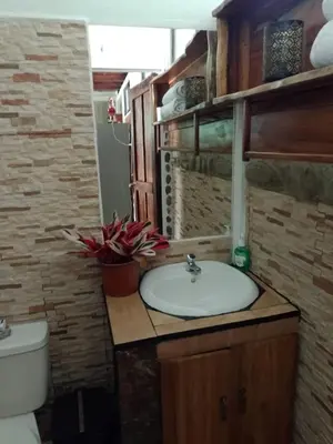 a bathroom with a sink and a toilet at Cabaña Eco-Arte in Tortugal