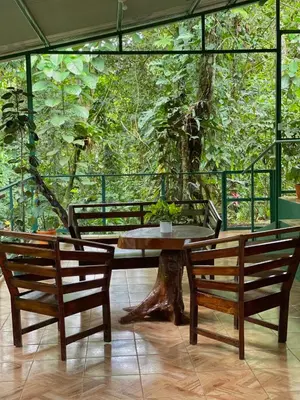 a table and two benches in front of a tree at Campo Verde House, La Fortuna de San Carlos in Fortuna