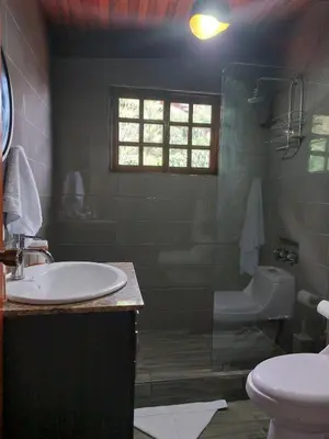a bathroom with a sink and a toilet and a shower at Your Perfect Home Away From Home! in San Ramón