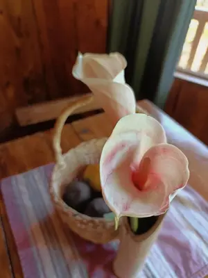 a flower in a vase on a table with a basket at Valchi Hospedaje de Montaña in El Copey
