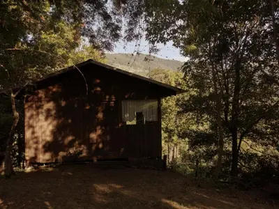 a small cabin in the middle of a forest at Valchi Hospedaje de Montaña in El Copey