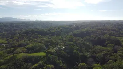 an aerial view of a lush green forest at La Golfina Villa in Santa Teresa Beach