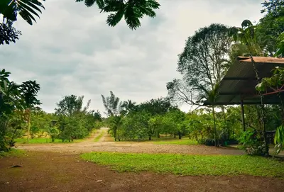 a dirt road leading to a field with trees at Arenal Descanso in Fortuna