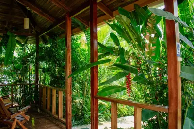 a wooden porch with trees and plants at Arenal Descanso in Fortuna