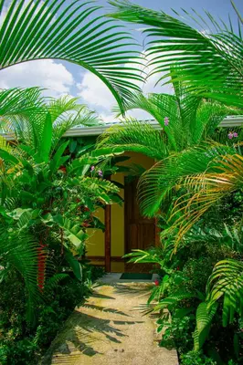 a house with palm trees in front of it at Arenal Descanso in Fortuna
