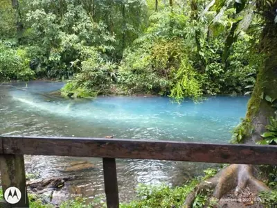 a river in the middle of a forest with blue water at Maricel House in San Rafael