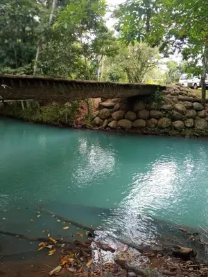 a bridge over a river with green water at Maricel House in San Rafael