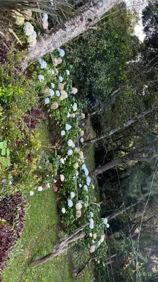 a bunch of flowers on the side of a body of water at Koi's House - Quebradillas de Dota in Santa María