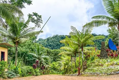 a view of a jungle with palm trees and a house at Toucan Valley Resort at Osa Mountain Village in Agua Buena