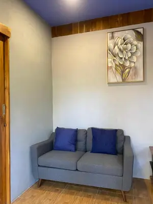 a living room with a couch with blue pillows at Jazlyn Lodge in Paquera