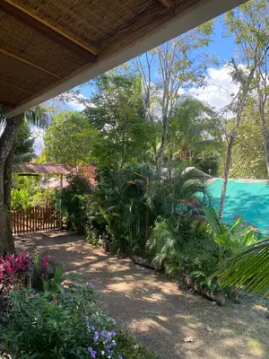 a garden with flowers and a swimming pool at Jazlyn Lodge in Paquera