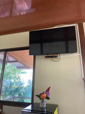 a television on a wall with a vase of flowers on a table at Jazlyn Lodge in Paquera