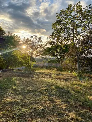 a field with the sun shining through some trees at daBene - Bed & Breakfast in Alajuela City
