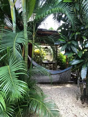 a hammock in a garden with palm trees at The Lizard in Santa Teresa Beach