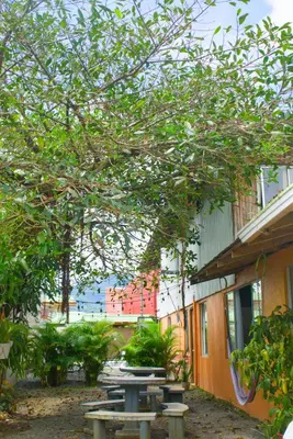 a group of picnic tables in front of a building at Alpha Arenal Hostel in Fortuna
