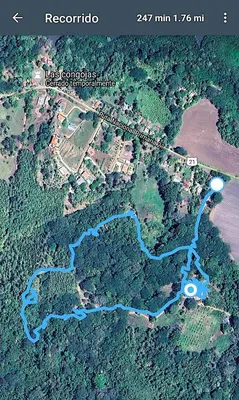 a map of a river in a forest at Nicoya Silvestre in Lepanto