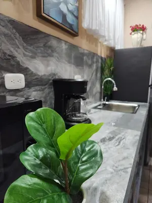 a plant sitting on a kitchen counter next to a sink at Arenal Memories. in Fortuna