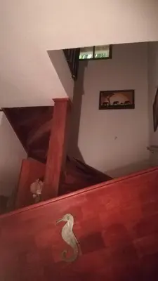 a seahorse standing on the floor of a room at House in Tamarindo Pueblo del mar in Tamarindo