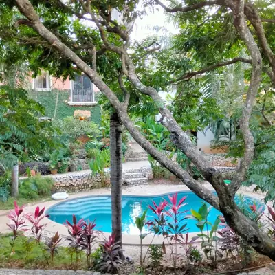 a swimming pool in a garden with trees at House in Tamarindo Pueblo del mar in Tamarindo