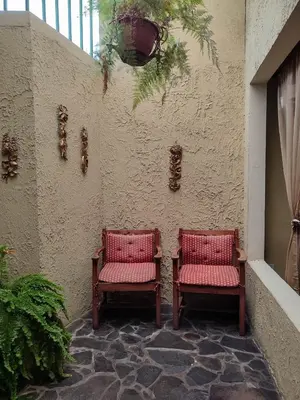 two chairs sitting next to a wall with plants at The Cozy Cactus House B&B Cartago Centro English Spoken in Cartago