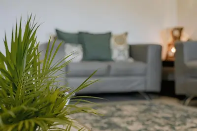 a living room with a couch and a potted plant at Departamento de lujo en la playa in Jacó