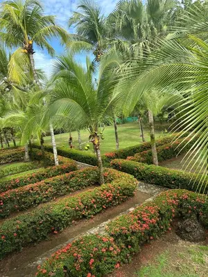 a garden with palm trees and flowers in a park at Laguna Eco Village #205 Pool/ Tennis Courts/ BBQ in Quepos
