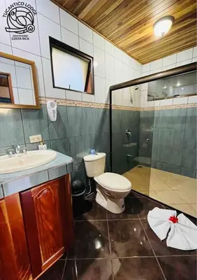 a bathroom with a toilet and a sink and a shower at TucanTico Lodge - Monteverde in Monteverde Costa Rica