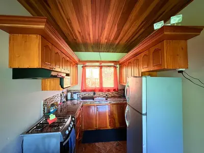 a kitchen with wooden cabinets and a refrigerator at TucanTico Lodge - Monteverde in Monteverde Costa Rica